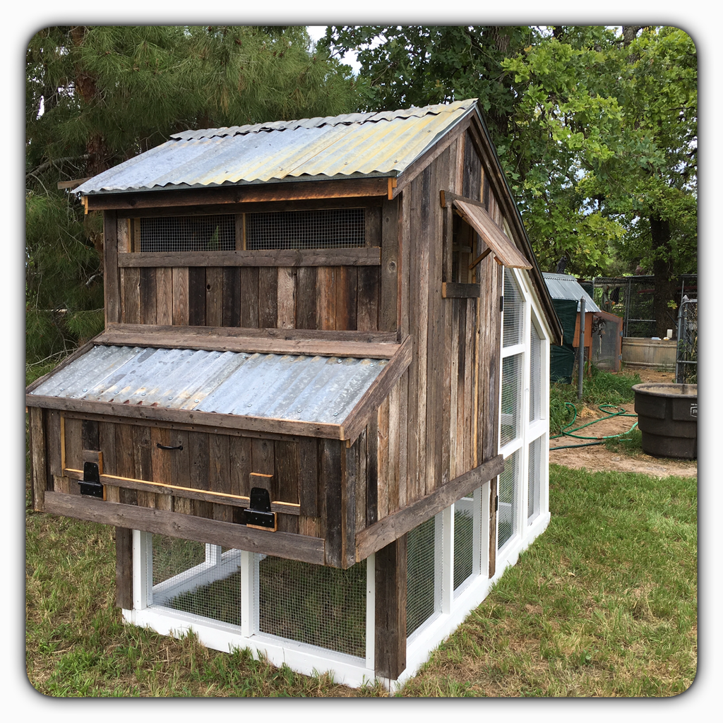 The Rustic Playhouse Coop