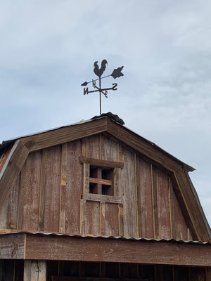The Vintage Barn Hen House